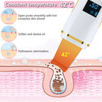 Facial Cleansing Ultrasonic Skin Scrubber